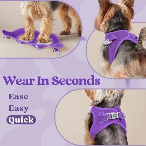 rabbitgoo Step-in Small Dog Harness, Puppy Vest for Small Sized Pet - Image 5