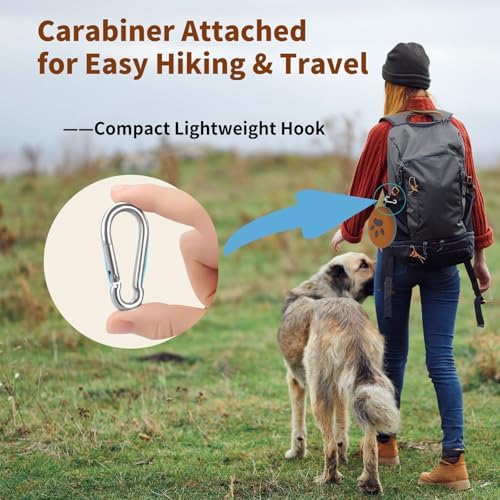 2-in-1 Collapsible Dog Travel Bowl Portable Silicone Carabiner - Image 4