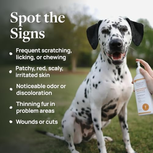 Veterinary Formula Clinical Care Antiseptic & Antifungal Shampoo + Spray - Image 2