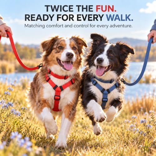 Dog Harness and Leash Set, No Pull Soft Lightweight PVC Puppy Harness, Adjustable Breathable Easy Walk Pet Harness for Small Medium Large Dogs - Image 6