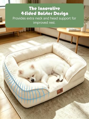 Spotted Play Orthopedic Dog Bed with Sides - Sofa Beds for Small Dogs, Supportive Foam Pet Couch Bed with Washable Removable Cover, Waterproof Lining and Non-Slip Bottom, Ivory - S - Image 5