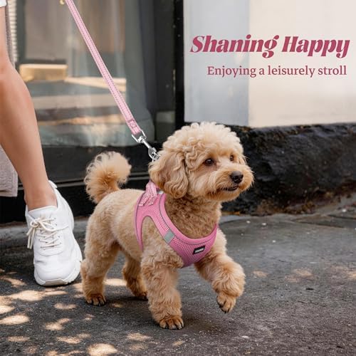 No Pull Dog Puppy Harness and Leash Set Reflective Mesh Vest Small - Image 6