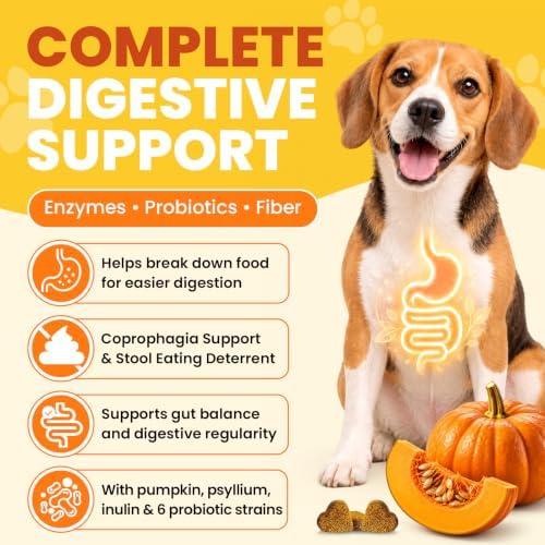 No Poo Coprophagia Chews for Dogs 200 ct Probiotics Stop Eat Stool-Chicken - Image 3