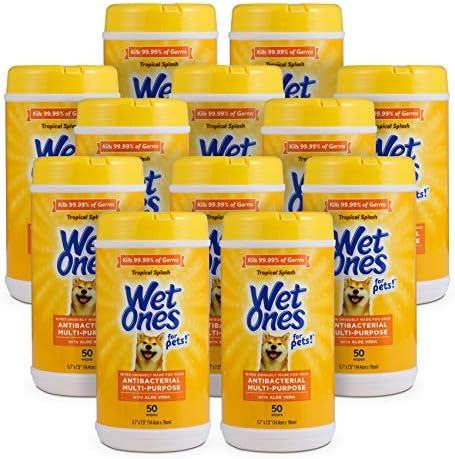 Wet Ones for Pets Antibacterial Dog Wipes, Tropical Splash, 50 Count, 12-Pk by WetOnes
