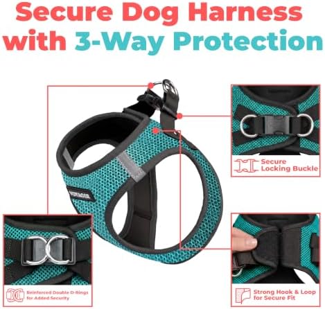 Voyager Step-in Air Dog Vest Harness - Turquoise 2-Tone, Medium - Image 2