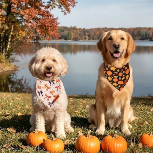 PTDECOR Fall Dog Bandanas, Fall Bow Pumpkin Maple Leaf Pet Scarf, Large - Image 2
