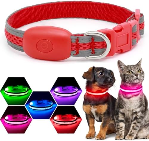 Flashseen LED Dog Collar, Light Up Dog Collar USB Rechargeable (Red, X-Small) by Flashseen