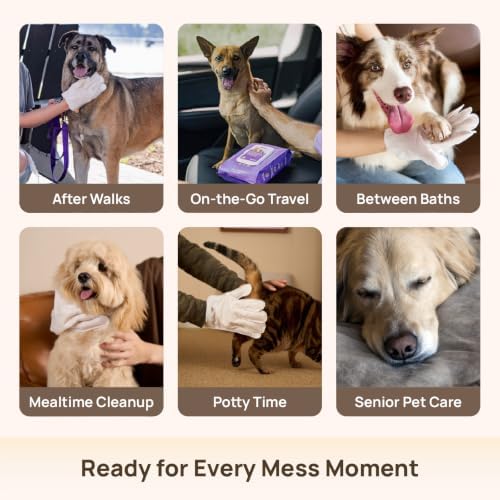 HICC PET Dog Wipes for Dogs & Cats, Individual Glove Packs, 6 Count - Image 5