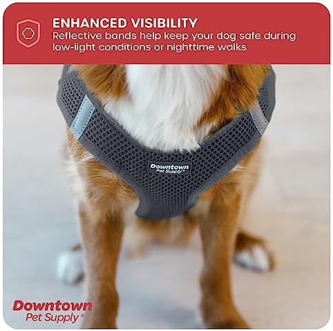 Downtown Pet Supply Step-in Dog Harness – No Pull, Adjustable Padded Mesh with Reflective Trim, Secure Buckle Strap – Comfortable & Breathable Small Dog Harness, XX-Small, Charcoal - Image 7