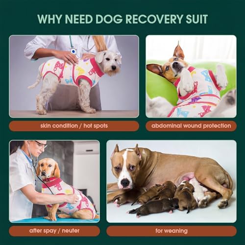 Kuoser Dog Recovery Suit, Female Male Spay Neuter Surgery Suit, Llama, XXL - Image 2