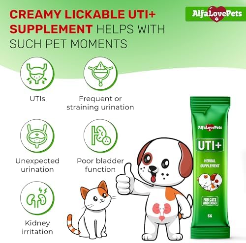 Cat UTI Treatment for Frequent Urination, Bladder & Kidney Irritation – Squeezable Dog UTI Treatment for Natural Care – Creamy UTI+ Cranberry Supplement for Dogs with Chicken Flavor – 10 Sticks x 5 g - Image 2