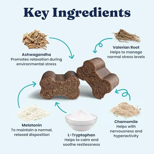 Solid Gold Calming Chews for Dogs with Melatonin for Storms & Travel, 60ct - Image 4