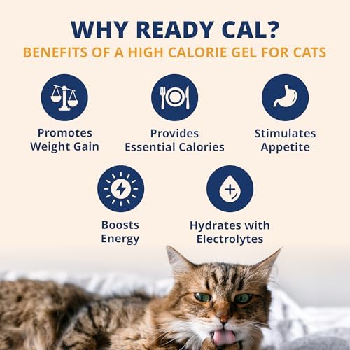 Under the Weather Pet Electrolytes Ready Cal Plus Gel for Cats | Vet-Formulated High-Calorie Supplement for Cats & Kittens | Promotes Weight Gain & Boosts Energy for Sick Felines | 3.5 Oz Tube Pack - Image 2