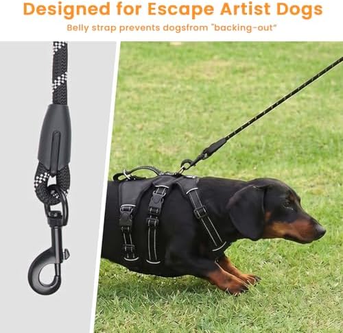 Escape Proof Dog Harness and Leash Set,Soft Padded Full Body Pet Harness, No Pull Reflective Adjustable Dog Vest with Handle, Easy Control Dog Harness for Medium Large Dogs Training Walking Running - Image 2