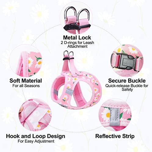 BEAUTYZOO Small Dog Harness and Leash Set,No Pull Puppy Pet Vest-Daisy, XS - Image 4
