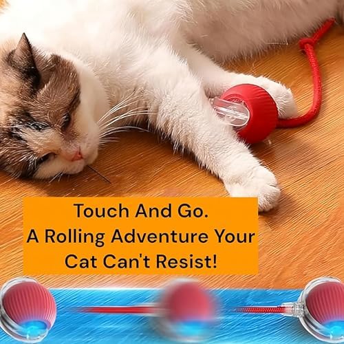 Durable Interactive Cat Toys for Indoor Cats, Dog Toys Ball, Rolling Pet Ball, Smart Automatic Cat Chase Balls Toy, Interactive Dog Toys Speedy Tail,Kitten & Cat Toys Interactive (Pink) - Image 5