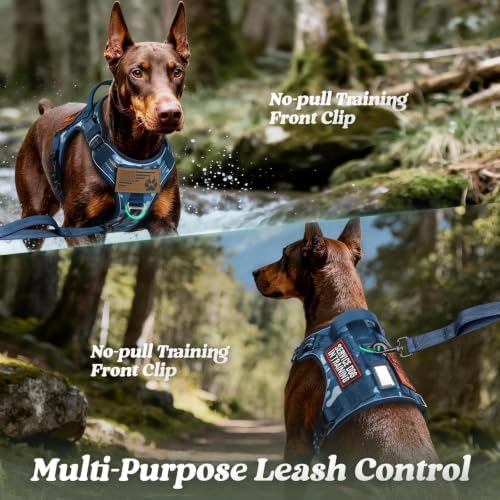 rabbitgoo Tactical Dog Harness for Small Dogs, No Pull Service Pet Vest - Image 3
