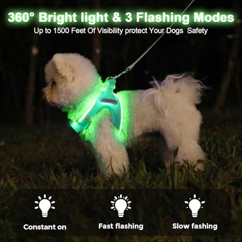 Light Up Dog Harness, Rechargeable LED Dog Harness for Small Medium Dogs - Image 2