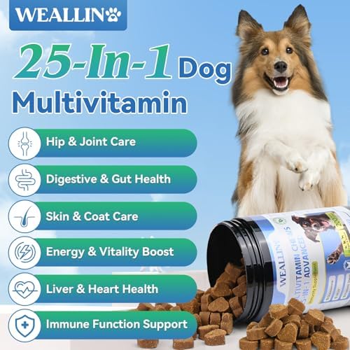 Dog Vitamins and Supplements with Glucosamine Probiotics 200ct Chicken - Image 2