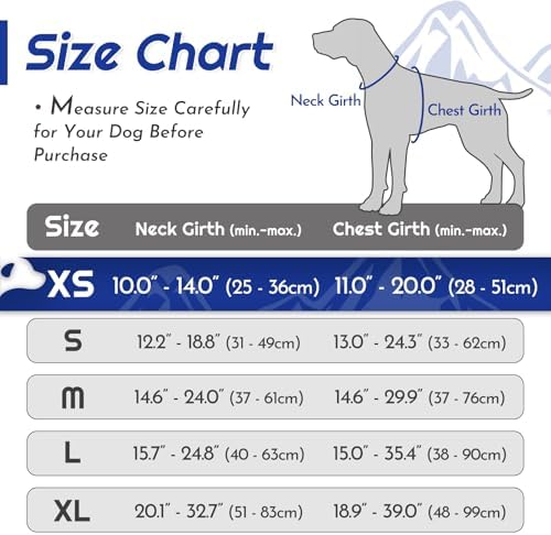 Eagloo Dog Harness for Small Dogs, No Pull Pet Vest with 2 Leash Clips - Image 2