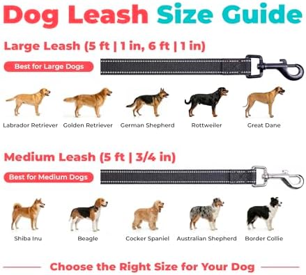 Best Pet Supplies Voyager Nylon Dog Leash - 6ft Black, Large - Image 6