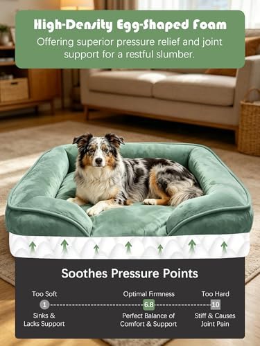 Spotted Play Orthopedic Dog Bed with Sides - Sofa Beds for Large Dogs, Supportive Foam Pet Couch Bed with Washable Removable Cover, Waterproof Lining and Non-Slip Bottom, Green - L - Image 4