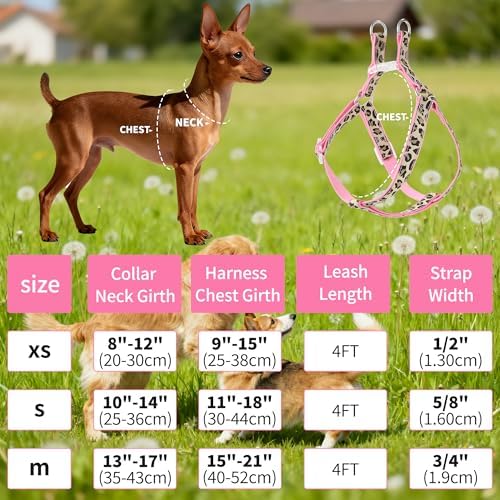 Mile High Life Leopard Dog Harness Collar Leash Set, Adjustable No Pull Dog Halter Harness for Small Breed Dogs, Easy Control for Training Walking (Beige, M Chest 15"-21", Neck 13"-17") - Image 2