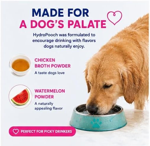 HydroPooch Dog Electrolyte Supplement, Hydration Powder & Water Flavor Enhancer for Dehydration Recovery, Heat, Exercise & Travel, Rehydration Support for Dogs, 12 Single-Serve Packets (8g Each) - Image 6