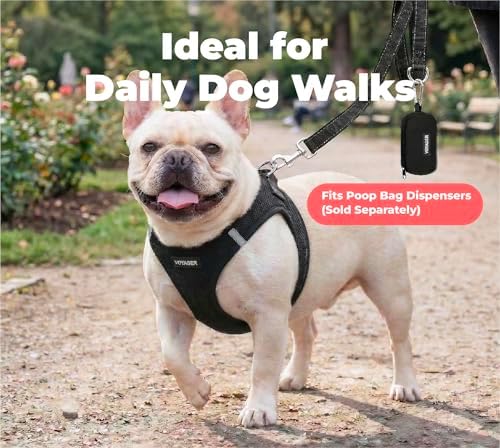Best Pet Supplies Voyager Nylon Dog Leash - Black, Medium - Image 3