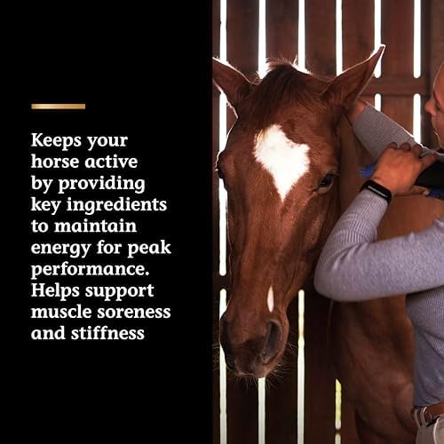 Vita Flex Pro Lactanase Pre Performance Horse Supplements, 25 g Packets, Show Safe Horse Muscle Supplement, for Energy, Metabolism & Stamina | Equine Metabolism Support - Image 5