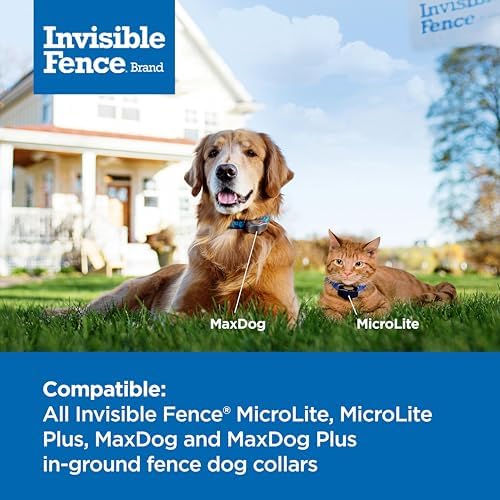 Invisible Fence Brand Power Cap Battery, 1-Pack - Image 3
