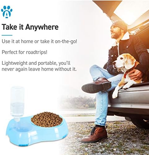 Slow Feeder Bowl, Elevated, Double Transparent for Cats, Small Dogs, Pet Automatic Water Feeder with Water Bottle - Image 5