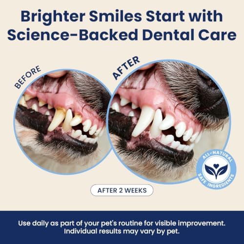 Dental Powder for Dogs Teeth Fresh Breath and Teeth Cleaning Contains Natural Ingredients and Probiotics Dental Powder Dog Tartar and Plaque Removes Tooth Cleaner for Dogs 120g (60-Day Supply) - Image 5