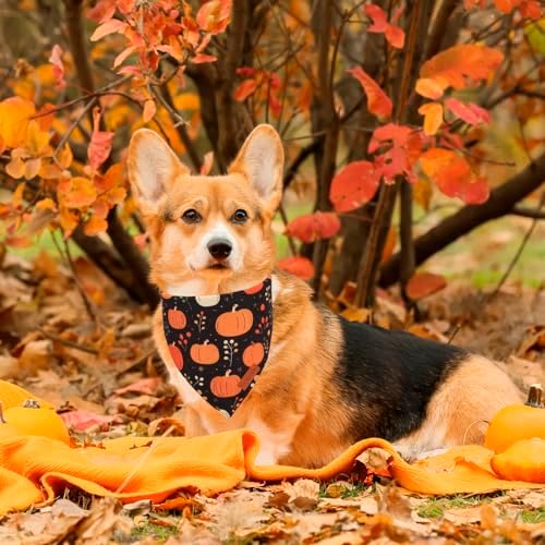 PTDECOR Black Fall Dog Bandana, Pumpkin Mushroom Design Dog Scarf, Large - Image 2