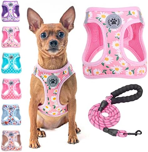 BEAUTYZOO Small Dog Harness and Leash Set,No Pull Puppy Pet Vest-Daisy, XS by BEAUTYZOO