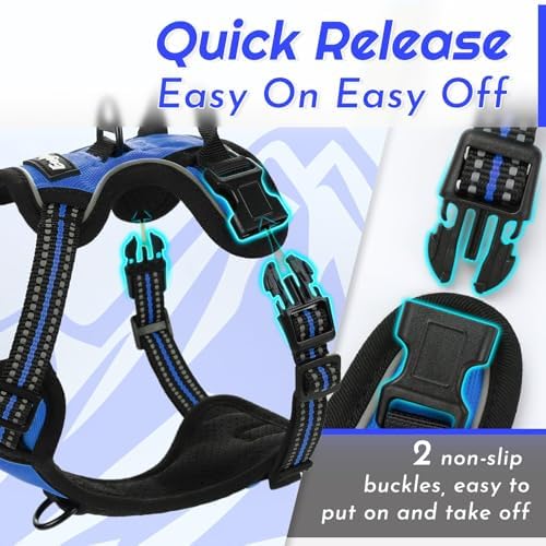 Eagloo Dog Harness for Small Dogs, No Pull Pet Vest with 2 Leash Clips - Image 5