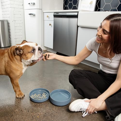 The Perfect Dish - Silicone Dog Bowl for Food & Water, 7.5"x2.25"- Charcoal - Image 6