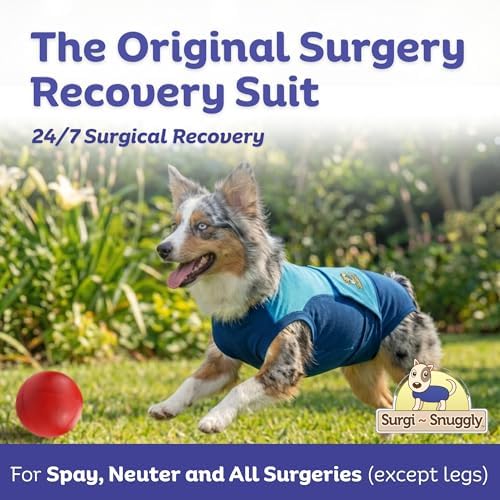 Surgi Snuggly Dog Surgery Recovery Suit, Cone Alternative, Spay/Neuter LL - Image 6