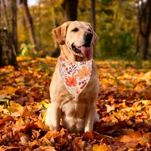 ADOGGYGO Fall Dog Bandana, Pumpkin Maple Leaf Fall Bandana for Dog, X-Large - Image 2