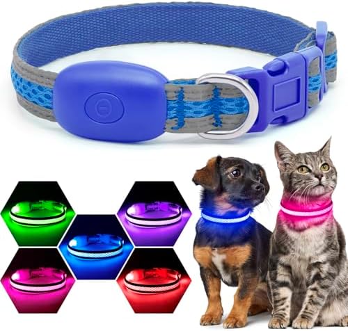 Flashseen LED Dog Collar, Light Up Dog Collar USB Rechargeable (Blue, X-Small) by Flashseen