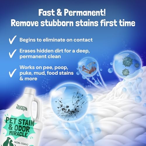 Sunny & Honey Carpet Cleaner Spray, Enzyme Pet Stain Remover, 1 Gal, Mint - Image 3