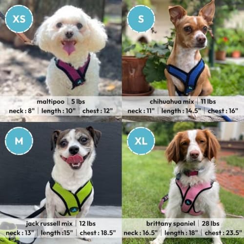 Gooby Comfort X Step-in Lite Harness, Choke-Free, Flamingo Pink, X-Small - Image 5