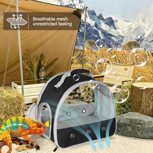 Ventilation Carrier for Bearded Dragon,Guinea Pig Carrier,Guinea Pig Carrier for 2,Reptile Travel Carrier for Lizards Sugar Glider Hedgehog Rat Parrot Birds,Airline Approved Black - Image 6