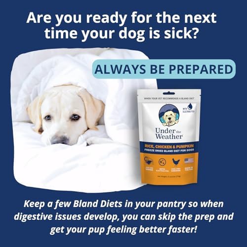 Under the Weather Bland Diet for Dogs | Easy to Digest for Sick Dogs |Always Be Ready | Contains Electrolytes - All Natural Freeze Dried 100% Human Grade Meats | 1 Pack - Rice, Chicken & Pumpkin - 6oz - Image 2