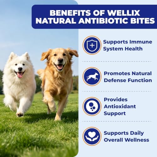 Wellix Natural Antibiotics Chews for Dogs, Immune Support 9.17oz - Image 4