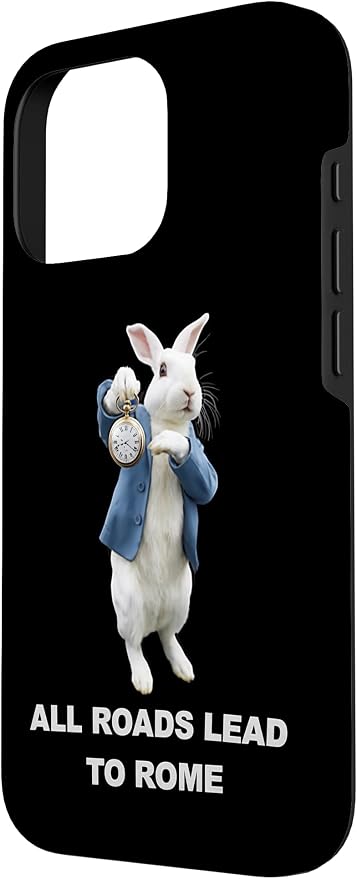 Funny AI Rabbit Meme Tshirt - All Roads Lead to Rome Humor Case for iPhone 16 Pro - Image 2
