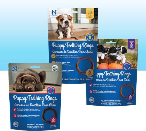 N-Bone Puppy Teething Rings 6 Count Bag Variety Pack, Chicken & Pumpkin & Blueberry BBQ Flavor, Total 3 Bags, 21.6-oz, 18 Rings (Pack of 6) by N-Bone
