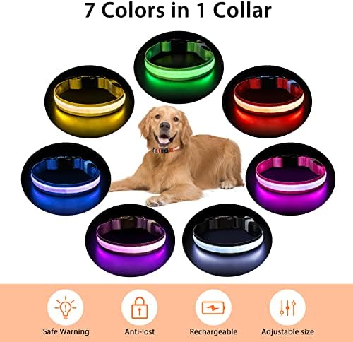 PcEoTllar Light up Dog Collar, for Night Walking, Adjustable, Orange, M - Image 4