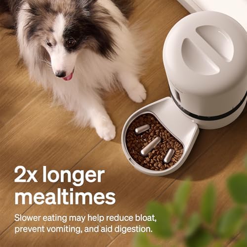 PETLIBRO Automatic Cat Feeder with Camera,Auto Food Dispenser,1080P HD Video w/Night Vision,5G WiFi w/2-Way Audio,Stainless Steel Slow Food Tray-Small Dog, 5L-with Camera & Slow Feed Bowl (Pack of 4) - Image 2