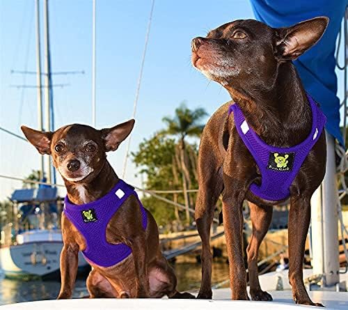 EcoBark Step in Dog Harness, Soft Mesh Body Halter Vest, Purple, Medium - Image 4